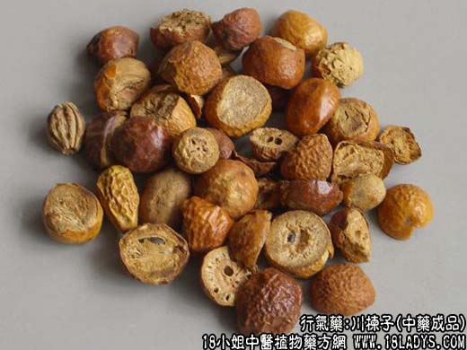 川楝子_川楝子的功效与作用 - 第2张  | 中药养生知识-中草药的功效与作用