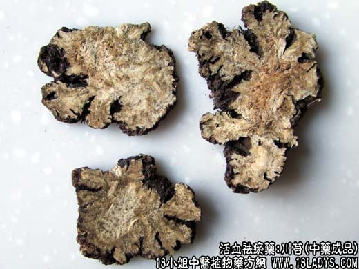 川芎_川芎的功效与作用 - 第2张  | 中药养生知识-中草药的功效与作用