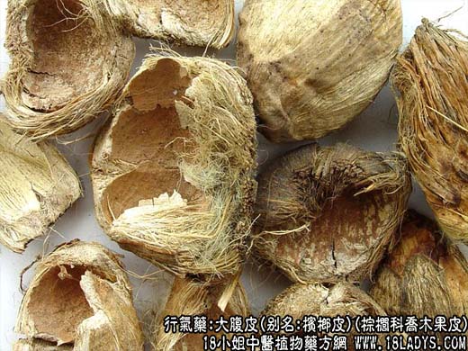 大腹皮_大腹皮的功效与作用 - 第1张  | 中药养生知识-中草药的功效与作用