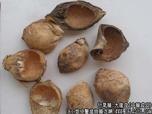 大腹皮_大腹皮的功效与作用 - 第2张  | 中药养生知识-中草药的功效与作用