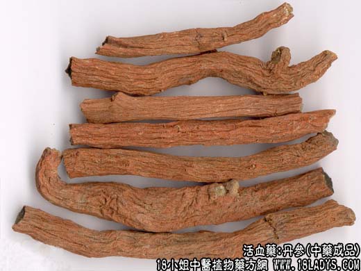 丹参_丹参的作用与功效_丹参图片 - 第2张  | 中药养生知识-中草药的功效与作用