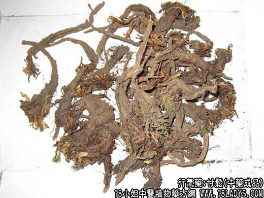 甘松_甘松的功效与作用 - 第2张  | 中药养生知识-中草药的功效与作用