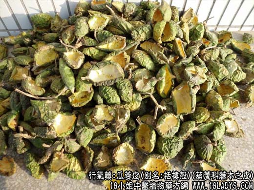 瓜萎皮_瓜萎皮的功效与作用 - 第1张  | 中药养生知识-中草药的功效与作用