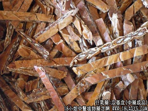 瓜萎皮_瓜萎皮的功效与作用 - 第2张  | 中药养生知识-中草药的功效与作用