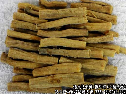 牛膝_牛膝的功效与作用 - 第2张  | 中药养生知识-中草药的功效与作用