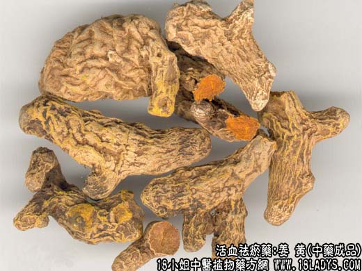 姜黄_姜黄的功效与作用 - 第2张  | 中药养生知识-中草药的功效与作用