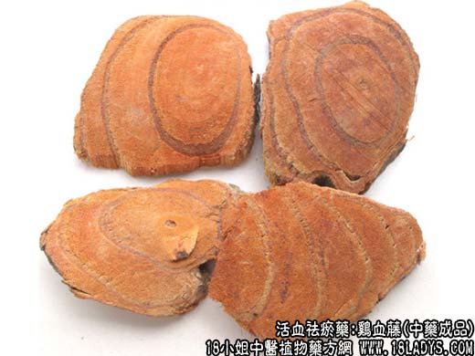 鸡血藤_鸡血藤的功效与作用 - 第2张  | 中药养生知识-中草药的功效与作用