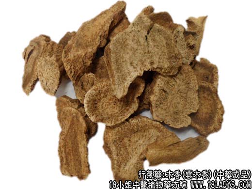 木香_木香的功效与作用_木香图片 - 第2张  | 中药养生知识-中草药的功效与作用