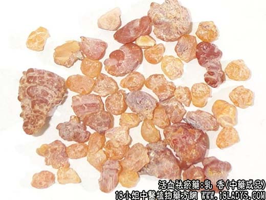 乳香_乳香的功效与作用 - 第2张  | 中药养生知识-中草药的功效与作用