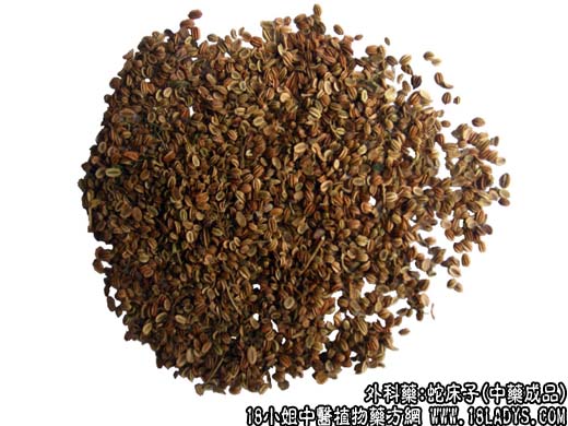 蛇床子_蛇床子的功效与作用_蛇床子图片 - 第2张  | 中药养生知识-中草药的功效与作用