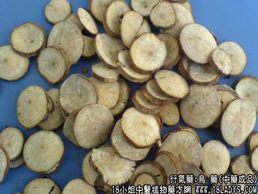 乌药_乌药的功效与作用 - 第2张  | 中药养生知识-中草药的功效与作用