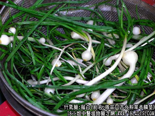 薤白_薤白的功效与作用 - 第1张  | 中药养生知识-中草药的功效与作用