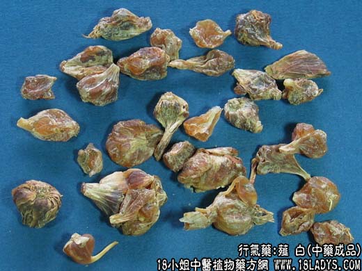 薤白_薤白的功效与作用 - 第2张  | 中药养生知识-中草药的功效与作用