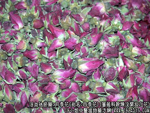 月季花_月季花的功效与作用 - 第1张  | 中药养生知识-中草药的功效与作用