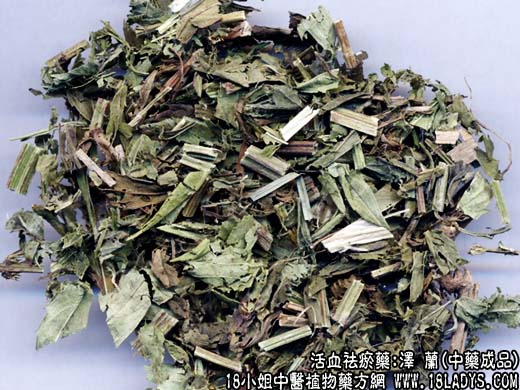 泽兰_泽兰的功效与作用 - 第2张  | 中药养生知识-中草药的功效与作用