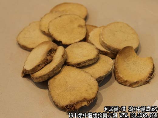 泽泻_泽泻的功效与作用_泽泻图片 - 第2张  | 中药养生知识-中草药的功效与作用