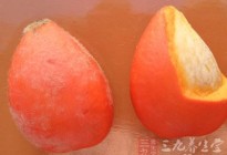 铁树果