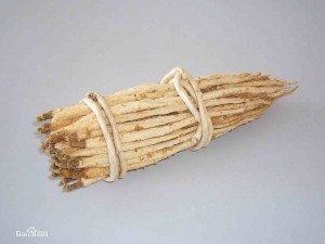 北沙参补阴药物 - 第1张  | 中药养生知识-中草药的功效与作用 北沙参补阴药物 - 第1张  | 中药养生知识-中草药的功效与作用